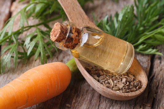 Pure Carrot Seed Oil(EO)