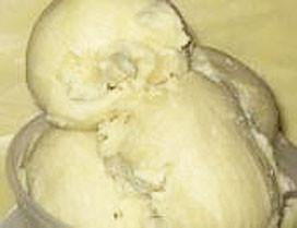 Organic Unrefined (Virgin)  Shea Butter Ghana