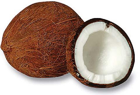 Exotic Coconut Scented Shea Butter