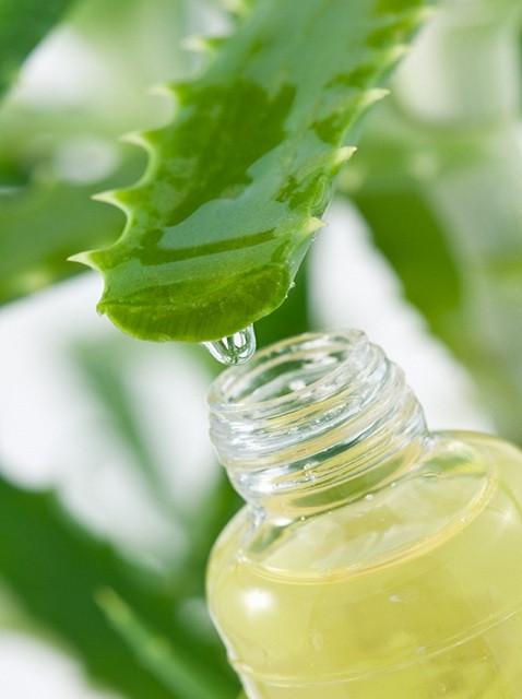 Organic Aloe Vera Products